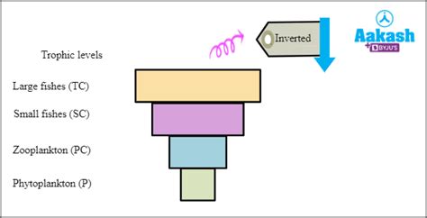 Our Environment in Biology: Definition, Types and Importance of Our ...