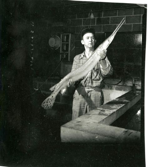 Decatur IL Lake 的图像结果