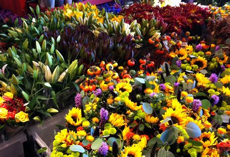Foodie in the Kitchen: Whole Foods Market, Folsom - Grand Opening