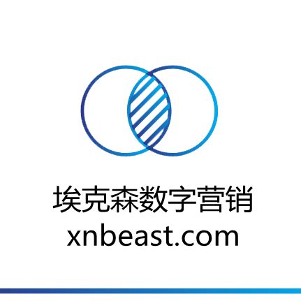 如何搭建独立站的网络？揭晓搭建独立站网络的步骤和要点 - 外贸指南