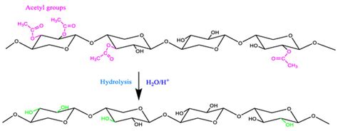 Aged Lignocellulose Fibers of Cedar Wood (9th and 12th Century ...