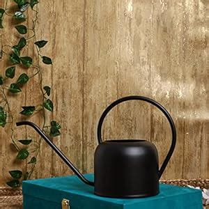 Amazon Brand - Umi Black Texture Long Spout Plant Watering Can ...