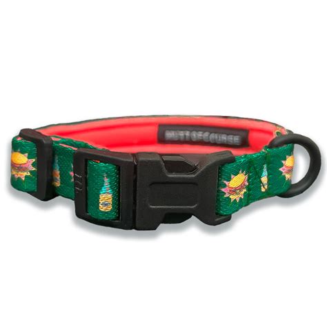 Snacc Time Collar For Cats – Mutt of Course