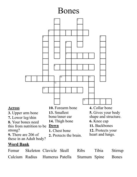 Bones Crossword - WordMint