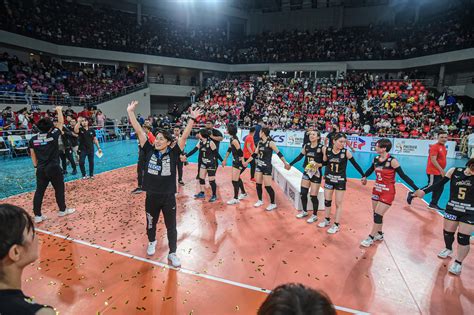 PVL Conference 的图像结果