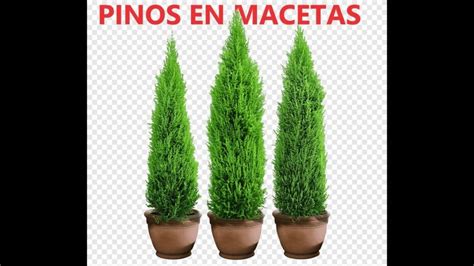 Image result for Programming Functionethio Programming
