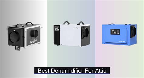 9 Best Dehumidifiers for Attic 2025 Guide