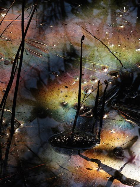 Nature Paper Abstract 的图像结果