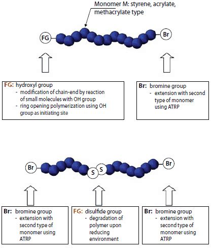 ATRP Ligands & Initiators: Clean Functional Polymers