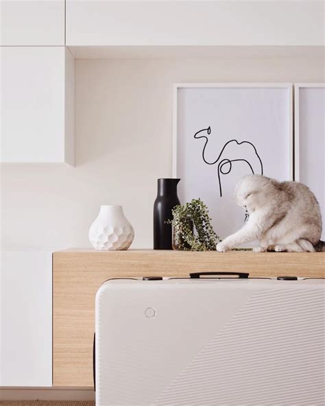 a cat sitting on top of a dresser next to two vases and a plant