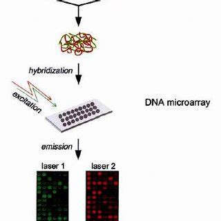 Image result for Python Microarray Analysis