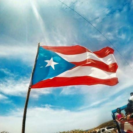 100 Pack Premium Blank PVC Cards, CAETOUNG CR80 30 Mil Graphic Quality ...