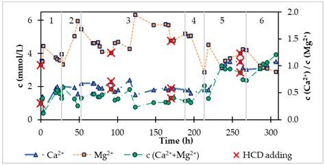 Modelling of Drinking Water Recarbonization in Fluidized Bed Reactor
