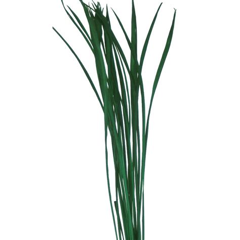 Green Floral Crafts Tall Grass Stems - 48 Tall, 75 - Dark Sage Green by ...