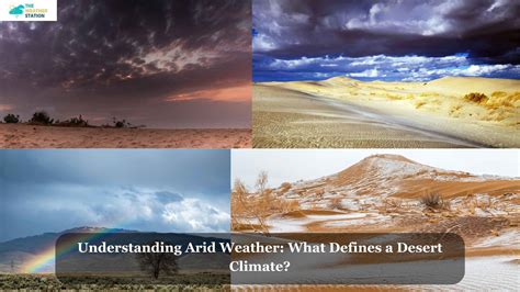 Understanding Arid Weather: What Defines a Desert Climate?