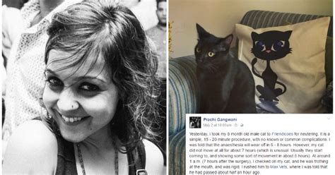 Delhi Woman Hits Out At Popular Animal Shelter For Killing Her Pet ...