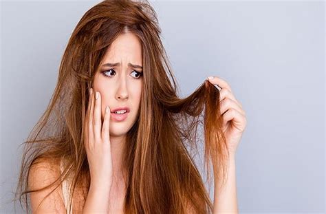 गर्मियों में बाल नहीं होंगे Damage, बस इस्तेमाल करें ये 3 Hairmask ...