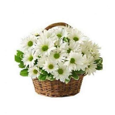 Send White Gerbera Basket Online in Kerala Same Day Delivery
