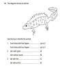 IGCSE Practice questions on dichotomous Keys - Brainly.in