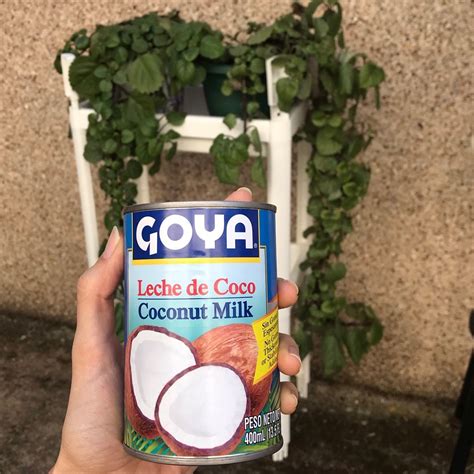 Goya Coconut Milk Review at Kristina Hertz blog