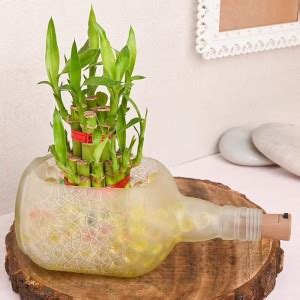 Floweraura Two Layer Bamboo Plant Price in India - Buy Floweraura Two ...