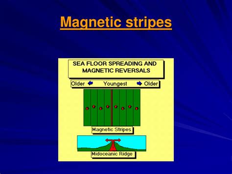 Sea Floor 的图像结果
