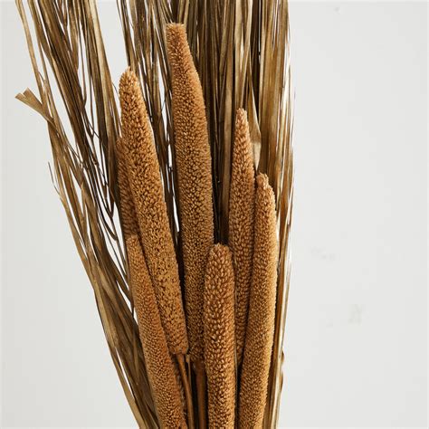 Botanical- Artificial Plants Plastic - Artificial Dry Bunch : 15 cm W x ...