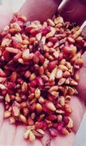 Pure Anardana Seeds(Pomegranate Seeds) in Essential | zaimboo by ...