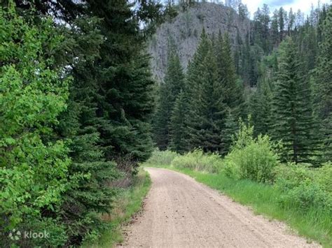 Private Mickelson Trail Bike Ride Tour - Klook India