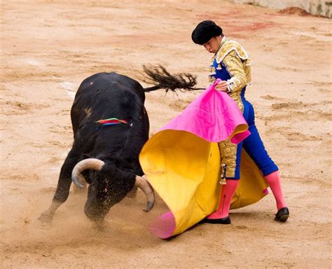 Bullfighting, Stampede Arena - Greeley | AllEvents.in