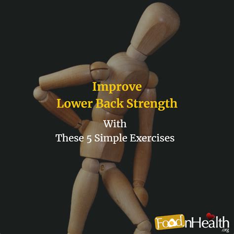 Image result for Lower Back Strength Exercises