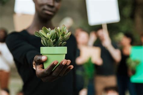 Environmentalist 的图像结果