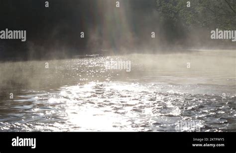 Image result for Vortex Solar