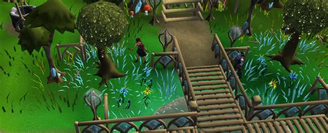 Image result for Old Magic Tree OSRS