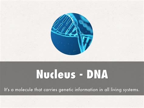 HTML CSS JavaScript Human Body Analogy 的图像结果