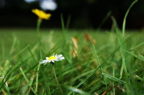 Vinitha - JungleKey.in Image #50