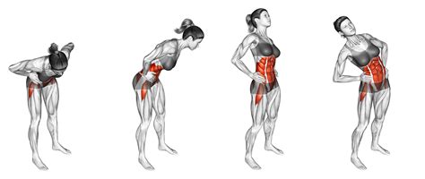 Gymnastics Warm Up: Stretches, Exercises, Cardio, and More - Inspire US