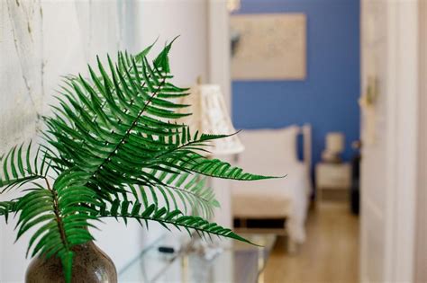 IRIS Garden Rooms - Korinthos, Corinthia Region