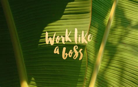 🔥 [50+] Like A Boss Desktop Wallpapers | WallpaperSafari