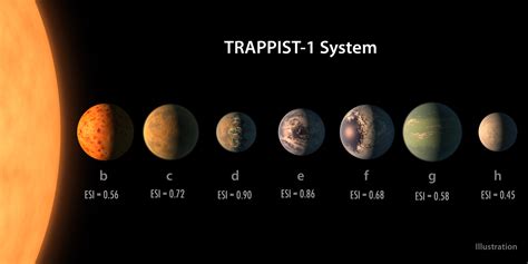 https://planetary.s3.amazonaws.com/assets/images/exoplanets/20170222_trappist-lineup2.jpg?utm_source=chatgpt.com