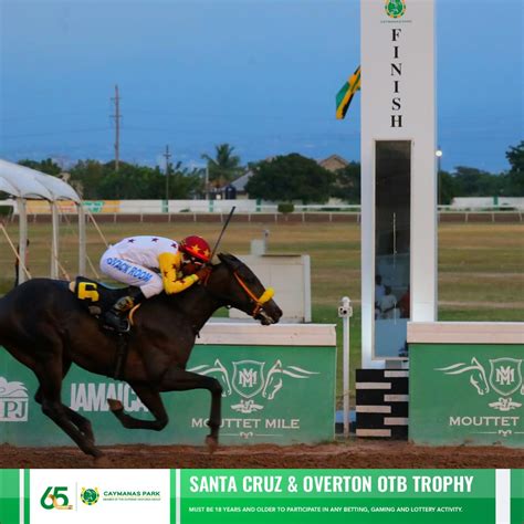 Caymanas Park Racing | Horse Racing Track (@caymanasracing) • Instagram ...