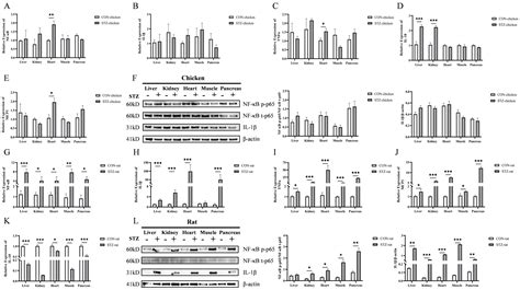 Inhibition of Advanced Glycation End Products: A Nexus of Chicken ...