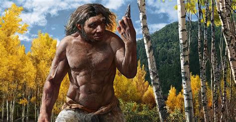 Ancient Human Evolution 的图像结果