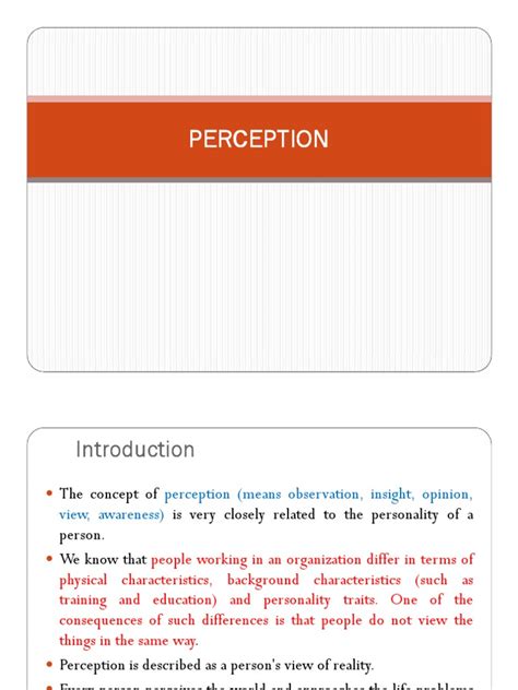 Perception Tutorial 的图像结果