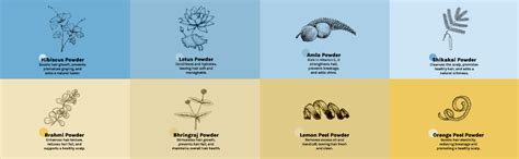 Buy Tattvalogy Wide Toothed Raw Neem Comb with Handle |Kaachi Neem ...