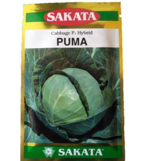 SAKATA - CABBAGE SAKATA PUMA
