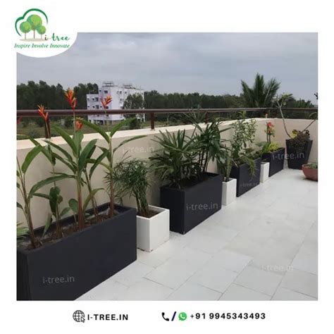 Garden Planters - Concrete Garden Planters Service Provider from Bengaluru