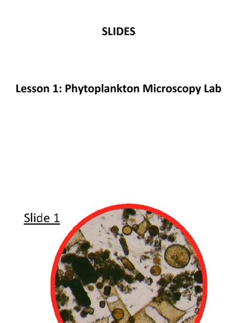 Image result for Python for Microscopists