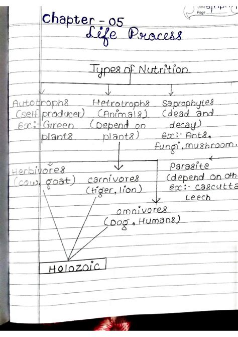 Class 10 Science Life Process 的图像结果