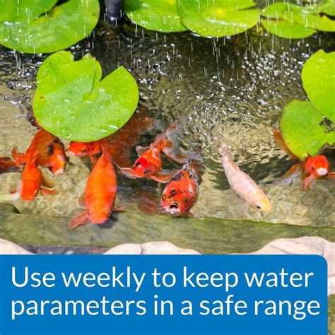 Pond Water Test API 的图像结果